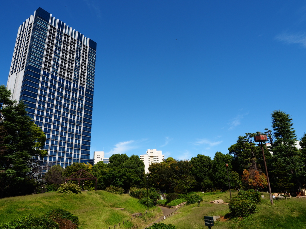 新宿　戸山公園