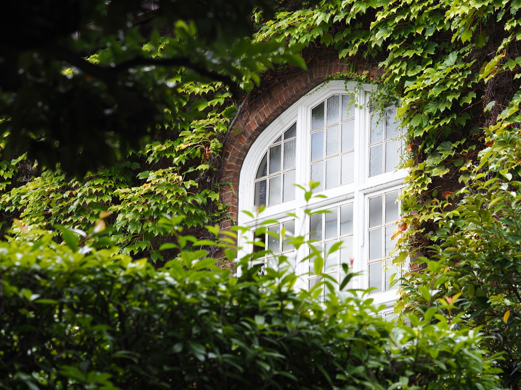 立教大学
