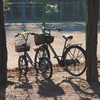 自転車