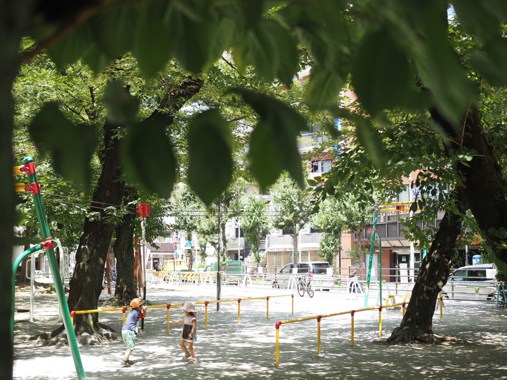 公園