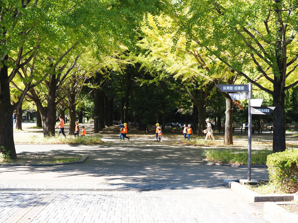秋の公園