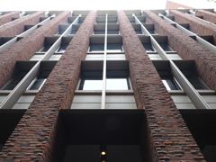 立教大学