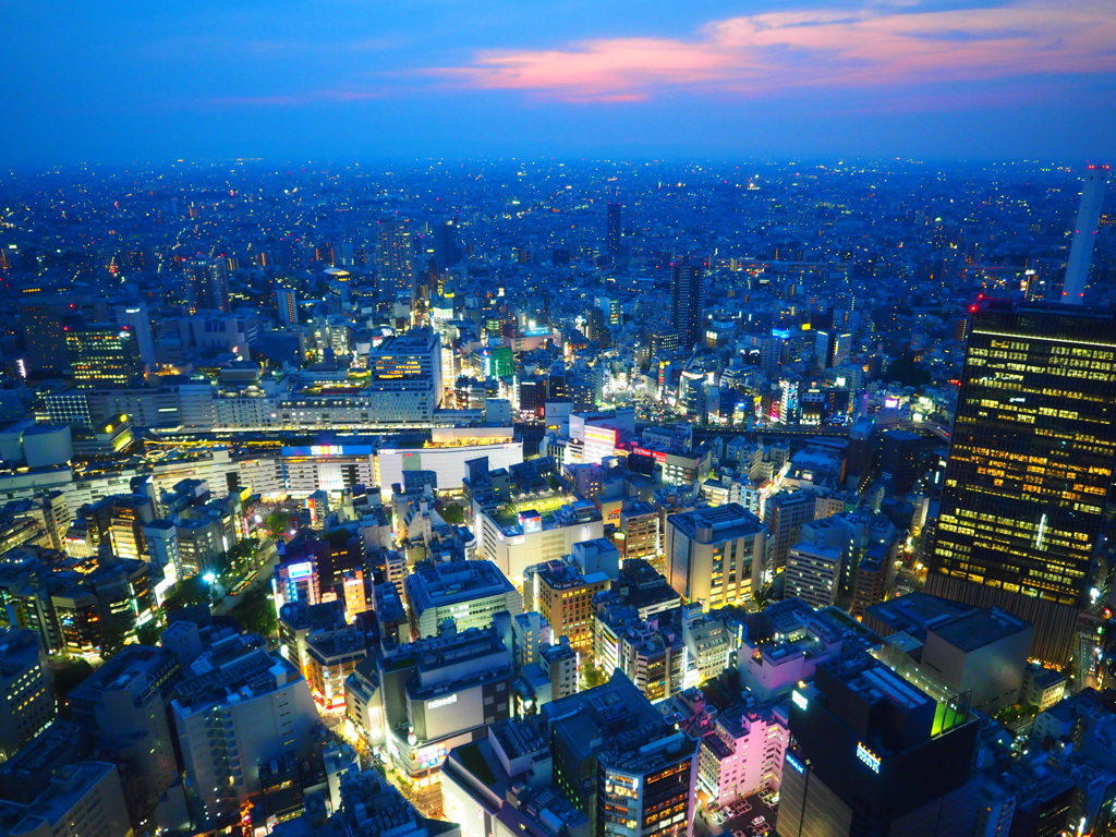 池袋駅方面の夜景