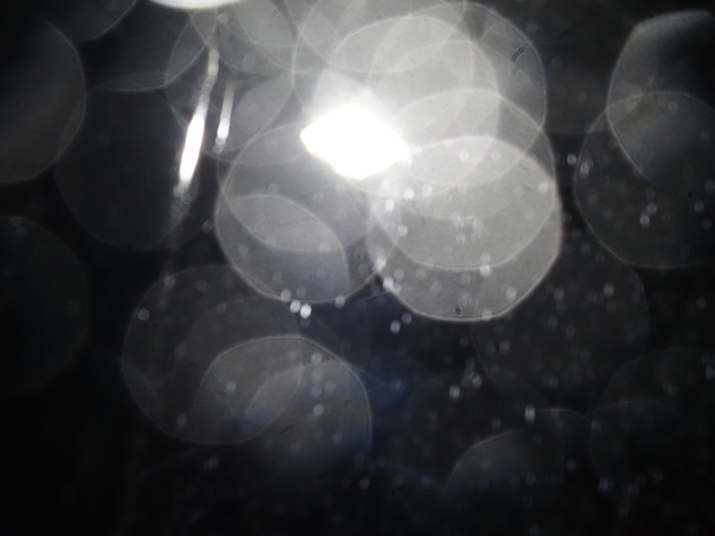 雪が降った(^^)
