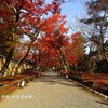 秋の散歩道(宝厳院3)