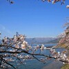 海津大崎2011