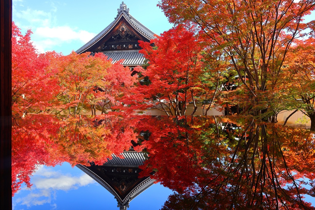 紅葉散歩(妙覚寺24-2)