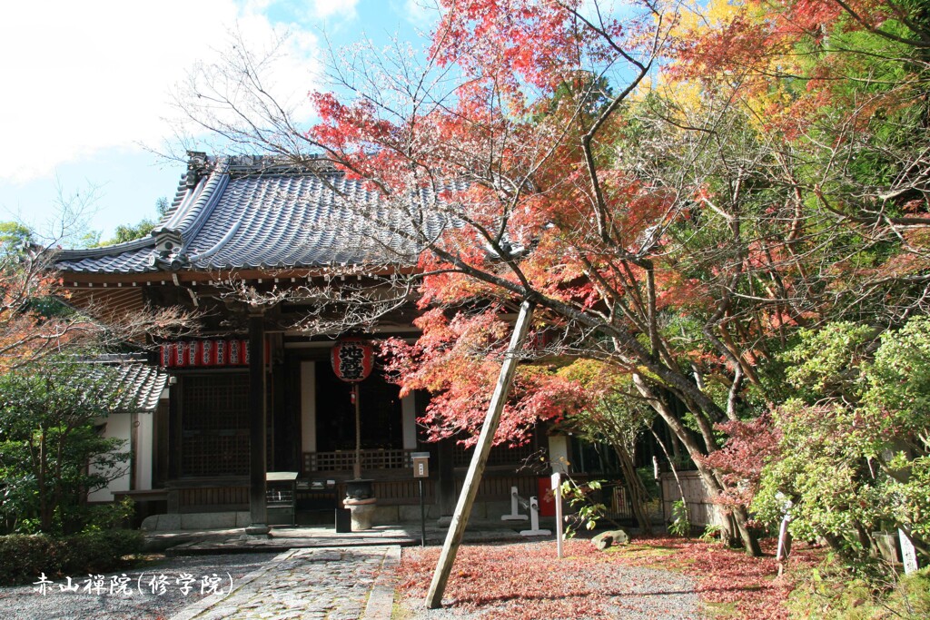 秋の散歩道(赤山禅院)