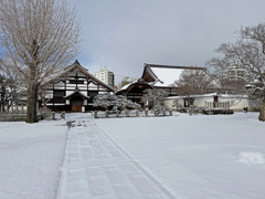 雪の日(妙覚寺)
