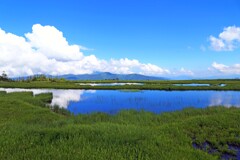 夏空(アヤメ平-2)