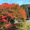 紅葉の頃(京都市左京区花脊地区)