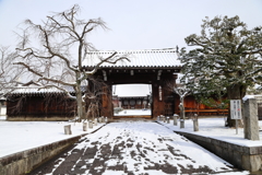 雪の日(妙覚寺-2)