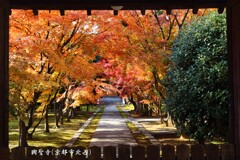 秋の散歩道(興聖寺)