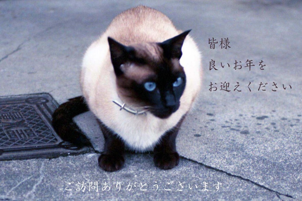 皆様良いお年をお迎えください