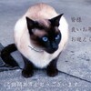 皆様良いお年をお迎えください