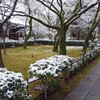 雪の日(真如堂2020-2)