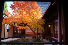 紅葉散歩(興聖寺-2)