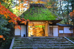 秋の散歩道(法然院)