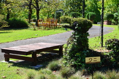 わに(花回廊)