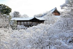 冬景色(東福寺2015)　