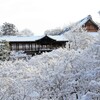 冬景色(東福寺2015)　