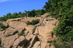 夏の思い出(尾瀬至仏山)