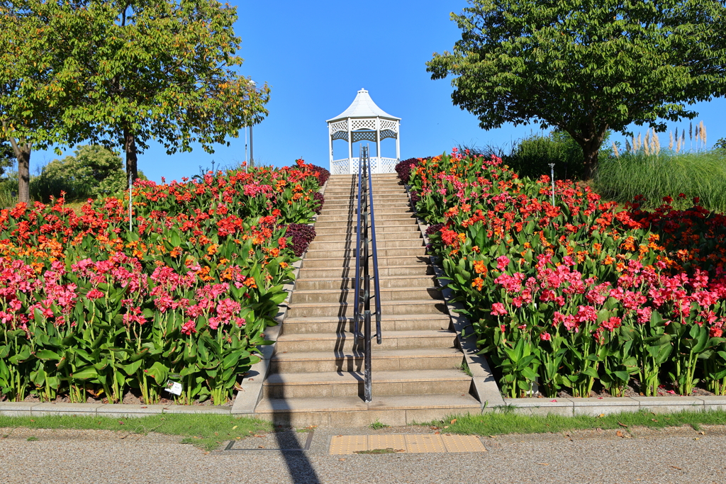 明石海峡公園-5