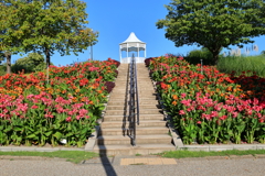 明石海峡公園-5