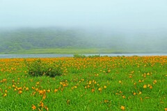 旅の記憶(雄国沼2016)