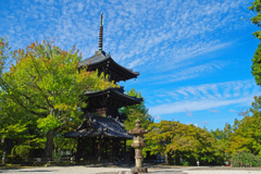 秋空(真如堂)