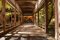 午後のひかりの中で(常照皇寺)