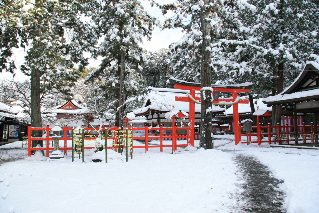 雪の日(吉田2015)