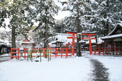 雪の日(吉田2015)
