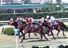サンケイ大阪杯(1982)