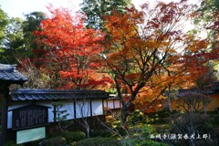 西明寺2016