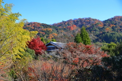 晩秋の東山(白沙村荘より)