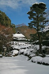 冬景色(金福寺2011)