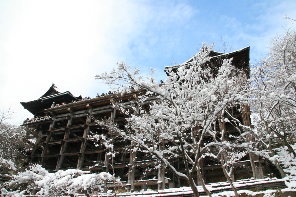 雪の日(清水寺2015)