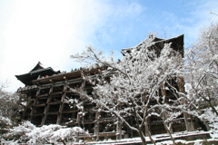 雪の日(清水寺2015)