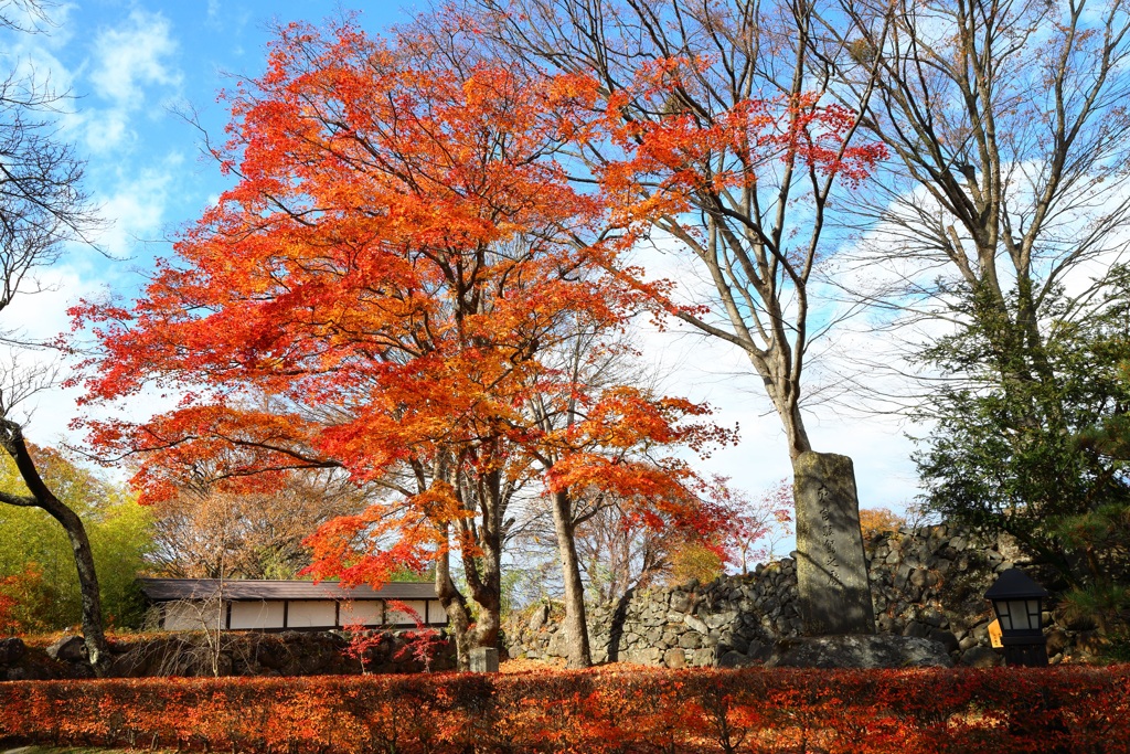 懐古園の紅葉