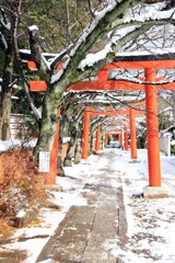 雪の日(竹中稲荷2015)