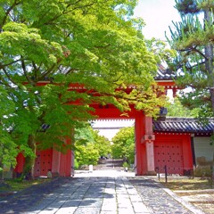 試し撮り(真如堂)