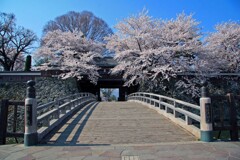 高島城公園2014-2