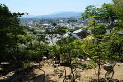 徂く春や京を一目の墓どころ
