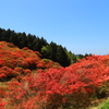 葛城高原2018
