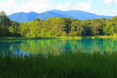 五色沼(弁天沼2016-2)