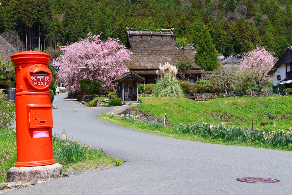 かやぶきと桜