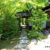 新緑散歩(金福寺)