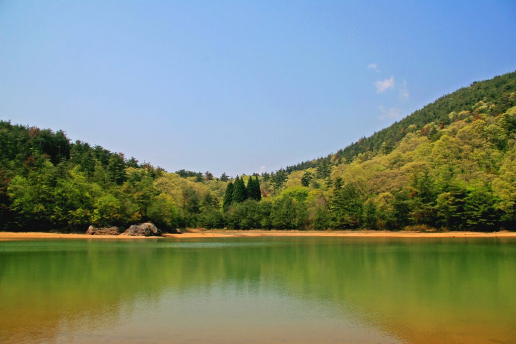 沢池(2007)