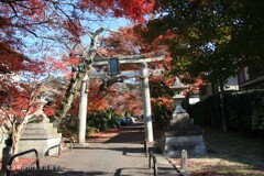 秋の散歩道(鷺森神社)